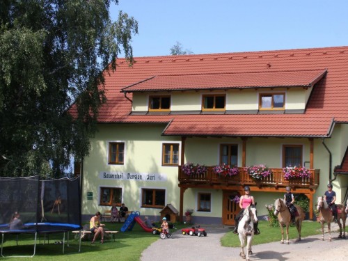 Bauernhof - 10 Personen -  - Obergösel - 9413 - Sankt Gertraud