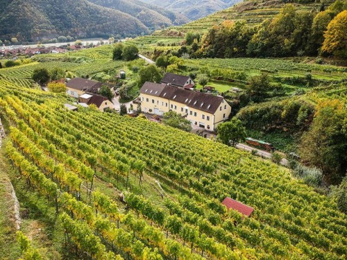 Ferielejlighed - 3 personer -  - Kellergasse - 3610 - Wösendorf In Der Wachau