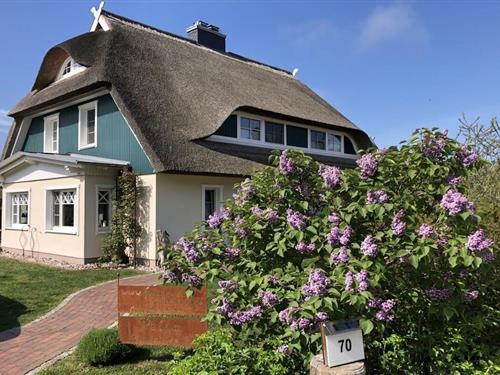 Sommerhus - 6 personer -  - 18375 - Born A. Darß