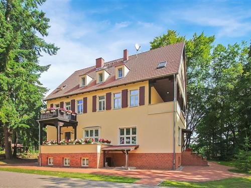 Ferienhaus - 2 Personen -  - Martin-Bachhuber-Straße - 17279 - Lychen