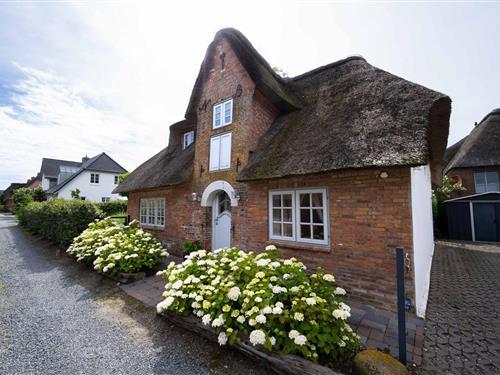 Feriehus - 4 personer -  - Grönland - 25938 - Wyk Auf Föhr