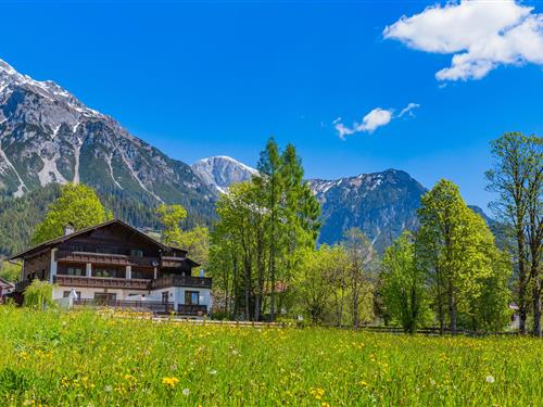 Ferielejlighed - 2 personer -  - Ramsau - 8972 - Ramsau