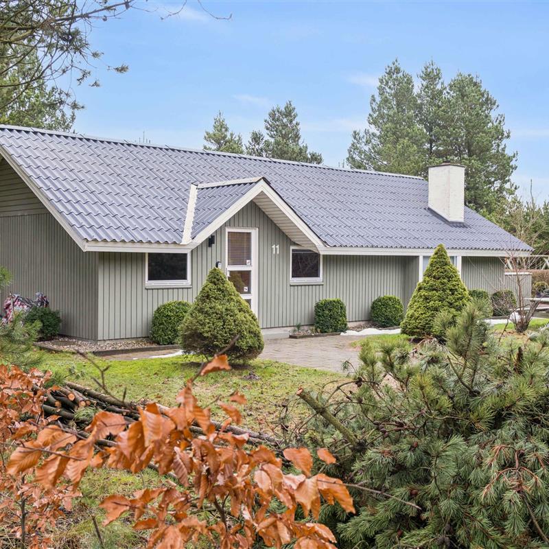 Ferienhaus - 6 Personen -  - Skovvang - 6830 - Nr. Nebel