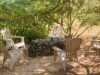 Image 14