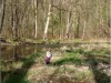 Bild 18