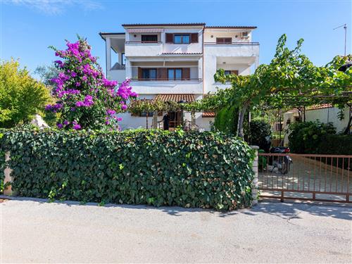 Ferienwohnung - 2 Personen -  - Biškupija - 52203 - Medulin