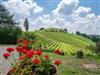 Bild 37 - Aussen