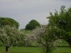 Bilde 35