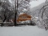 Bilde 3