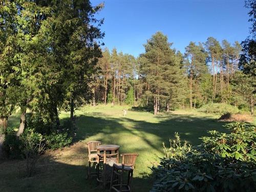 Sommerhus - 2 personer -  - Menzer Straße - 16831 - Rheinsberg