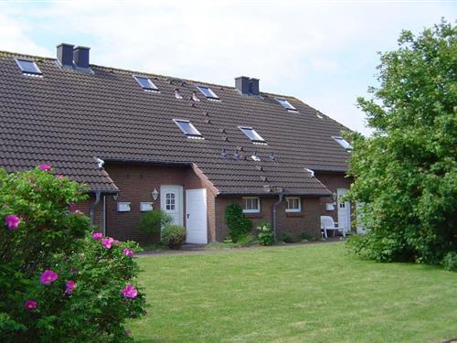 Sommerhus - 4 personer -  - 25718 - Friedrichskoog - Spitze