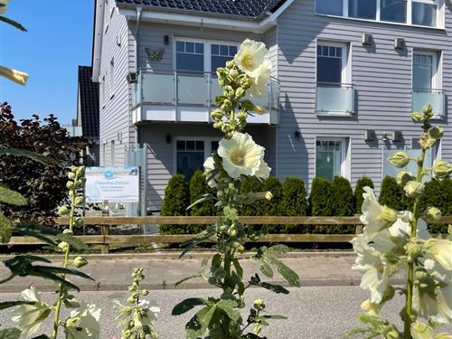 Holiday Home/Apartment - 6 persons -  - Leuchtturmstraße - 23747 - Dahme