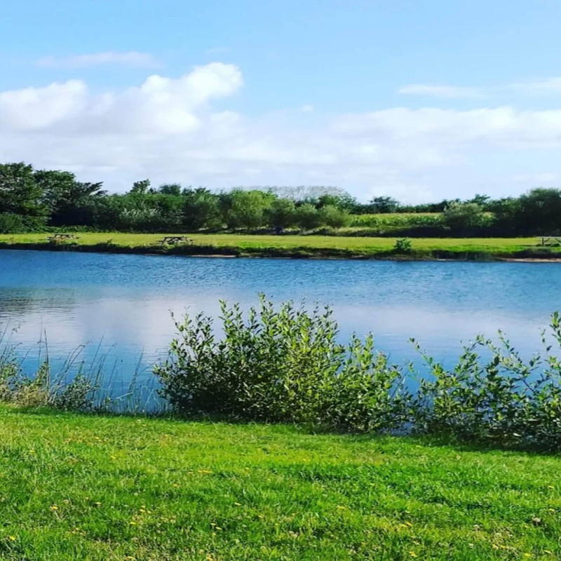 Ferienhaus - 6 Personen -  - Galochen - Hemmet Strand - 6893 - Ringkøbing Fjord