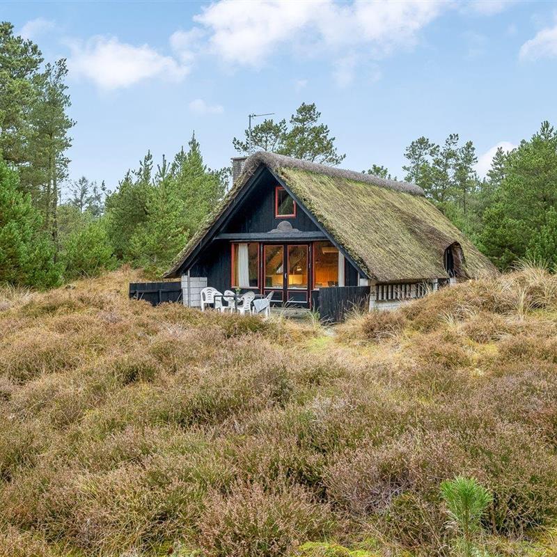 Ferienhaus - 5 Personen -  - Møllehusvej - 6857 - Blavand