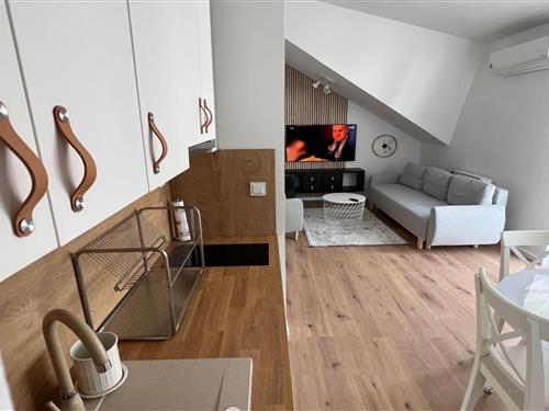 Ferielejlighed - 3 personer -  - 10000 - Zagreb