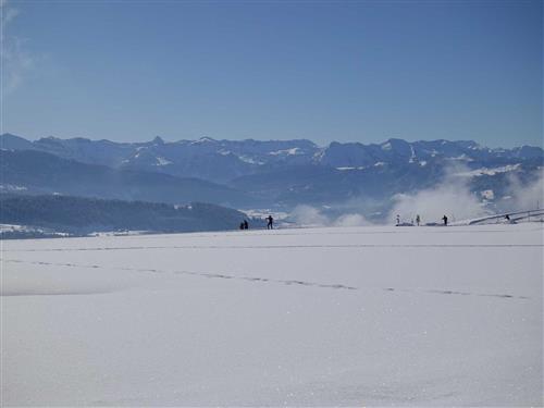 Ferielejlighed - 4 personer -  - Dorf - 6934 - Sulzberg