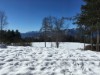 Image 38 - Outside