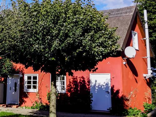 Feriehus - 4 personer -  - Ballitzer Weg - 17406 - Reestow