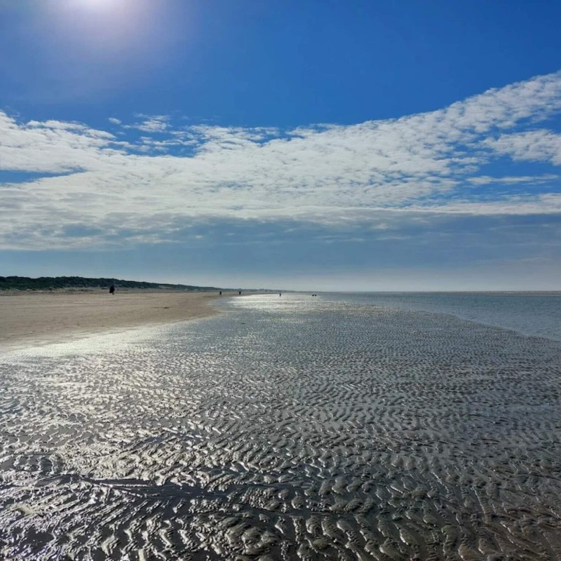 Sommerhus - 6 personer -  - Hedetoftvej 34 B - 6857 - Blåvand