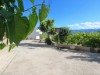 Image 32 - Outside