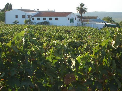 Herrgård / Palats - 8 personer -  - 14510 - Moriles