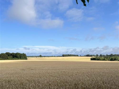 Sommerhus - 8 personer -  - Stavrebyvej - 4874 - Gedser