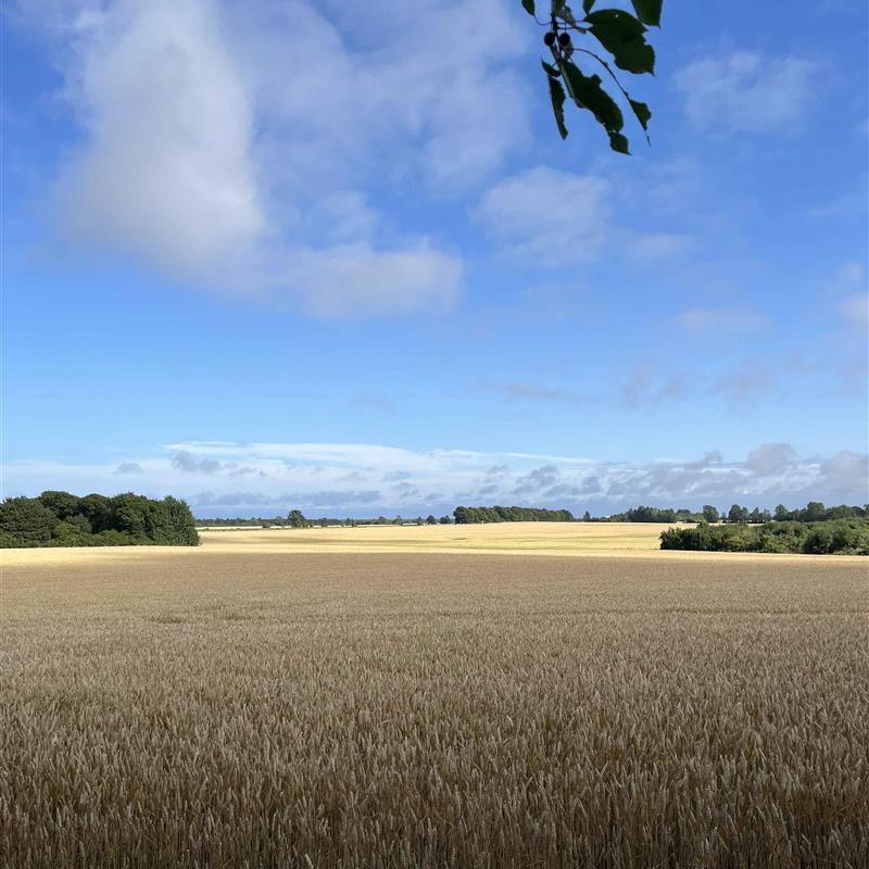 Sommerhus - 8 personer -  - Stavrebyvej - 4874 - Gedser