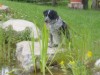 Bild 14