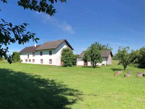 Holiday home - 6 persons -  - Manderscheiderhof - 54649 - Manderscheid