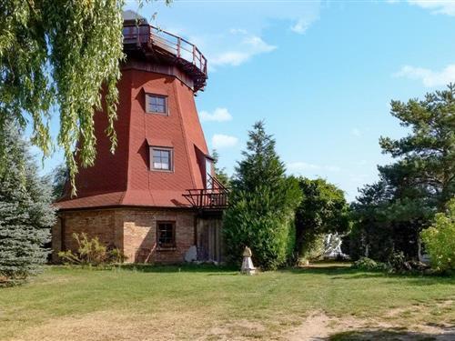 Sommerhus - 5 personer -  - Salemer Weg - Neukalen Am Kummerower See - 17154 - Neukalen