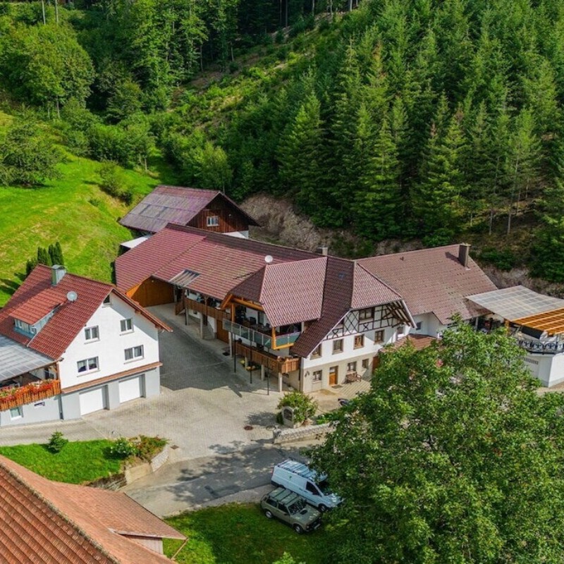 Sommerhus - 6 personer -  - 77794 - Lautenbach \/ Renchtal