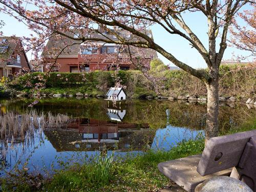 Ferieleilighet - 2 personer -  - Mühlenweg - 23769 - Fehmarn Ot Lemkenhafen