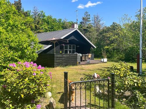 Sommerhus - 6 personer -  - Hybenvej - Stauning - 6900 - Skjern