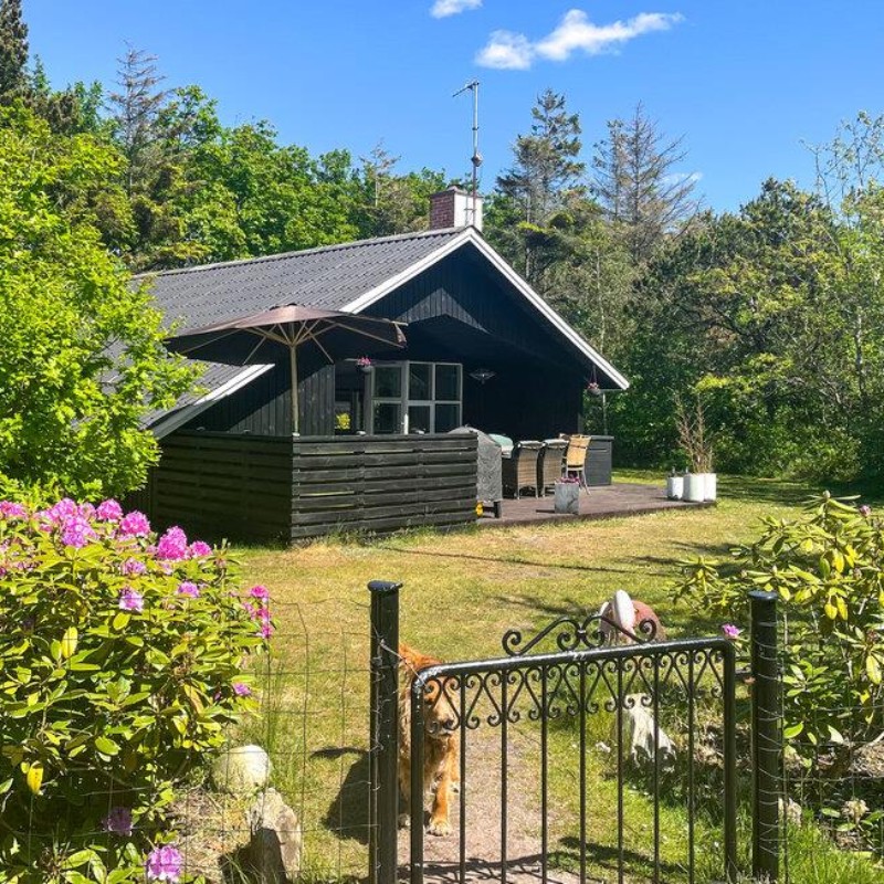 Sommerhus - 6 personer -  - Hybenvej - Stauning - 6900 - Skjern