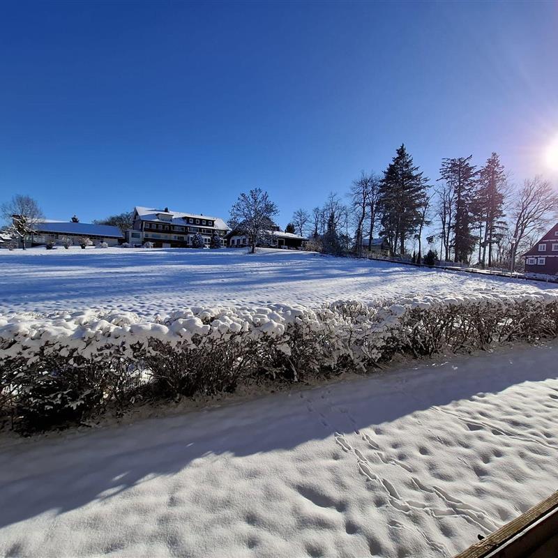 Ferielejlighed - 2 personer -  - Hindenburgstraße - 38700 - Braunlage / Hohegeiß