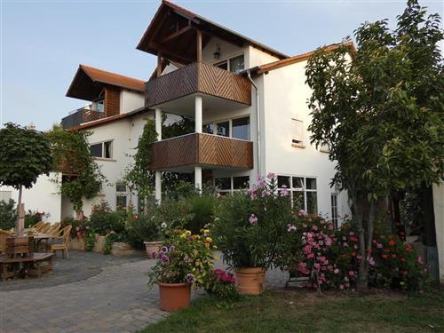 Ferienhaus - 4 Personen -  - Hauptstr. - 67152 - Ruppertsberg