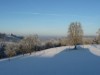 Bilde 9