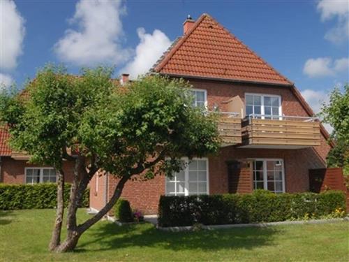 Semesterhus/Semesterlägenhet - 2 personer -  - Dorfstraße - 25826 - St. Peter-Ording