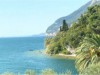 Bild 33