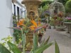 Image 31 - Outside