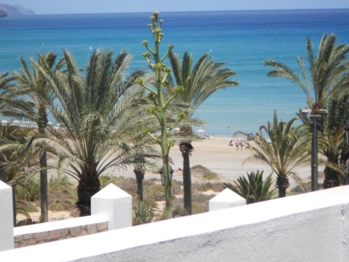 Ferieleilighet - 3 personer -  - 35627 - Costa Calma