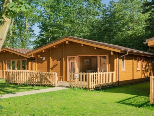 Glamping telt - 6 personer -  - 4631 RX - Hoogerheide