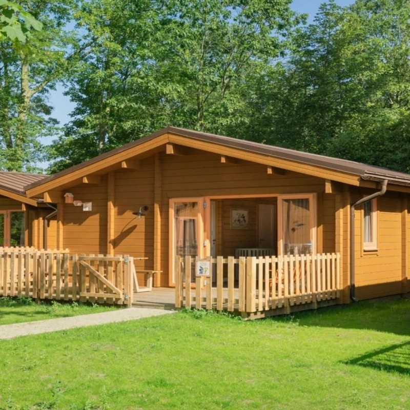 Glamping telt - 6 personer -  - 4631 RX - Hoogerheide