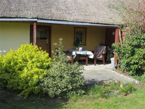 Ferielejlighed - 3 personer -  - Dorfstr. - 17375 - Grambin