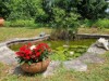 Image 13