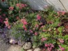 Bild 18