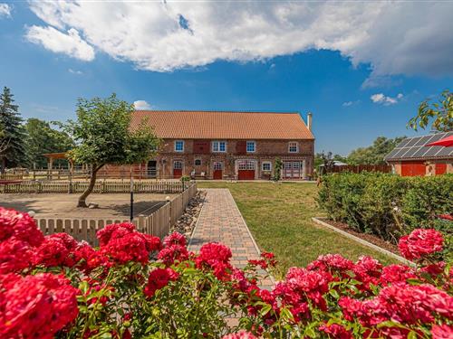 Holiday apartment - 4 persons -  - Kraatzer Str. - 39619 - Arendsee