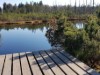 Bild 18