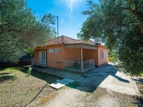 Holiday apartment - 4 persons -  - Petra Krešimira IV - 23205 - Bibinje