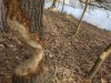 Bild 17